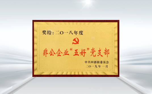 回郭镇非公企业五好党支部 